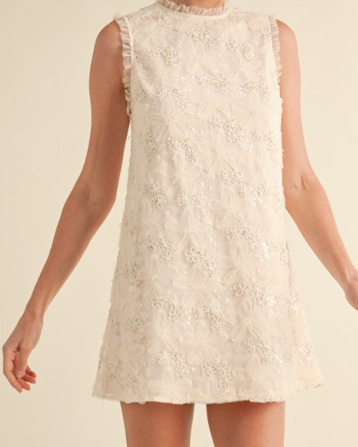 Embroidery Mini Dress